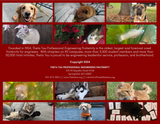 Pets of Theta Tau 2025 Calendar