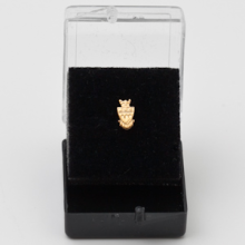 Coat of Arms Recognition Pin